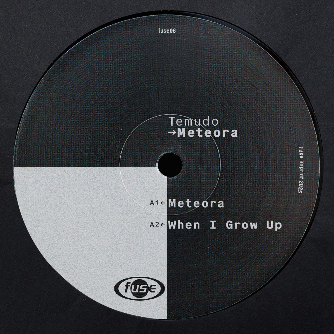 TEMUDO - METEORA - 12" VINYL